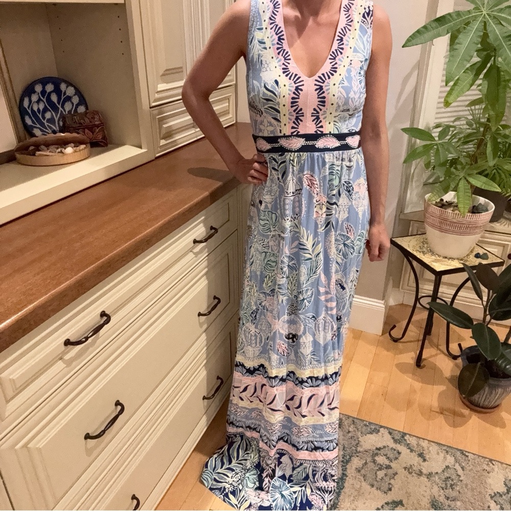 Floral Maxi Dress - Blue and Pink